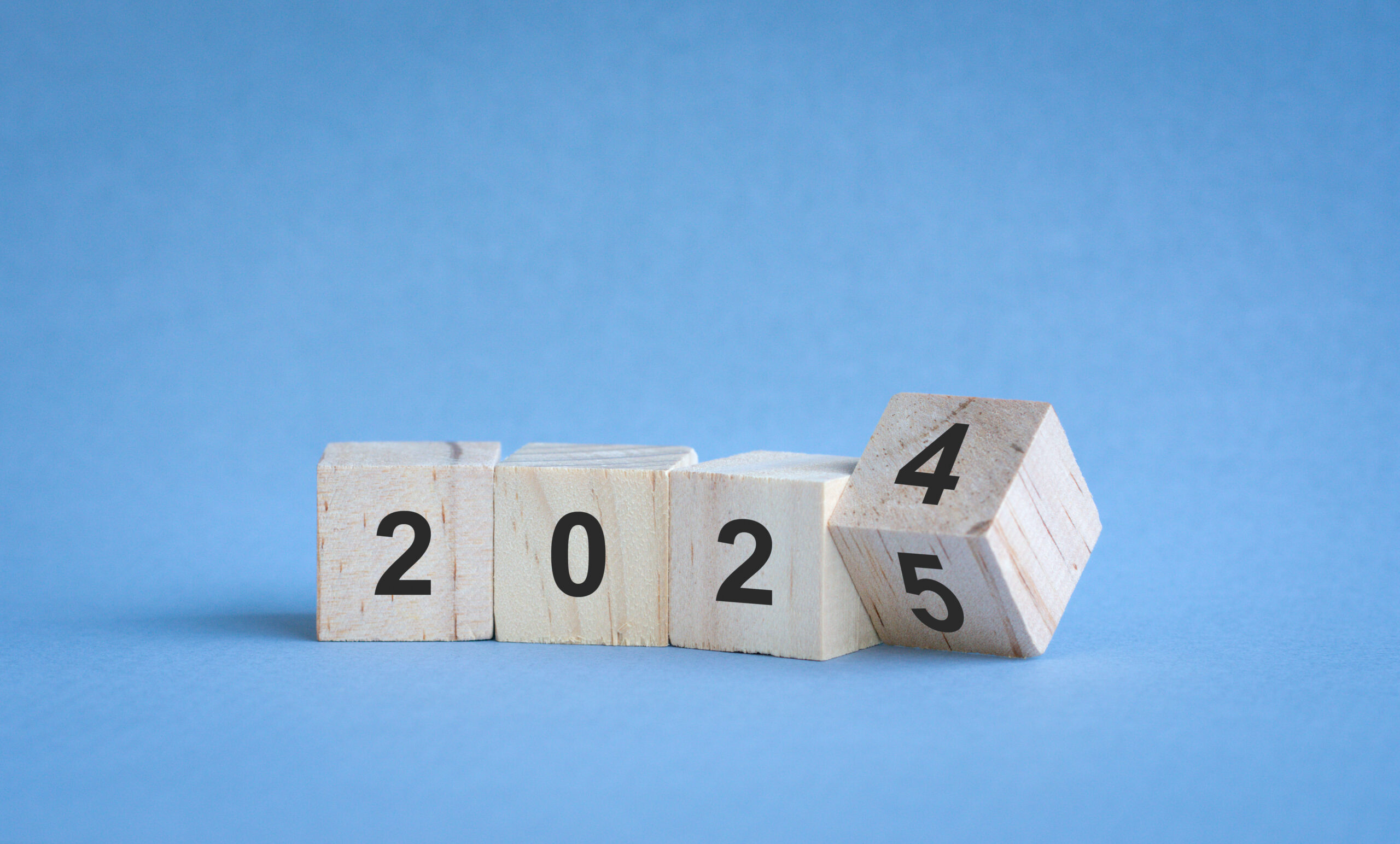 Balance de 2024 para la empresa de limpieza Rodila Plus