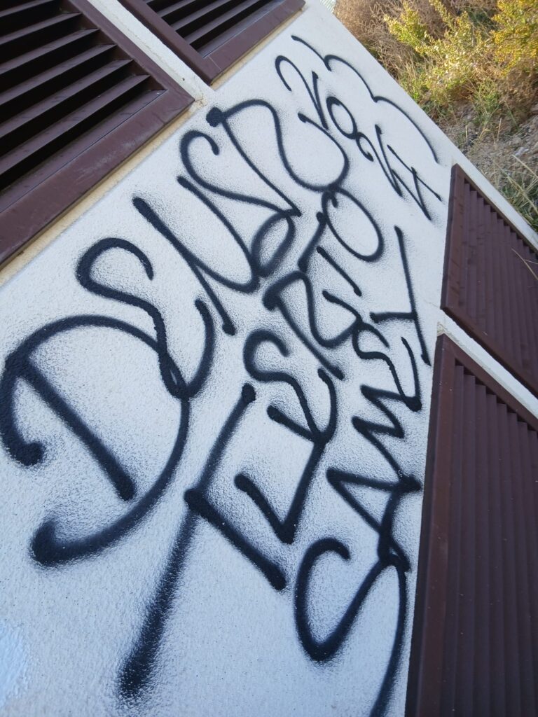 ¿Necesitas una limpieza de grafiti de Rodila Plus?