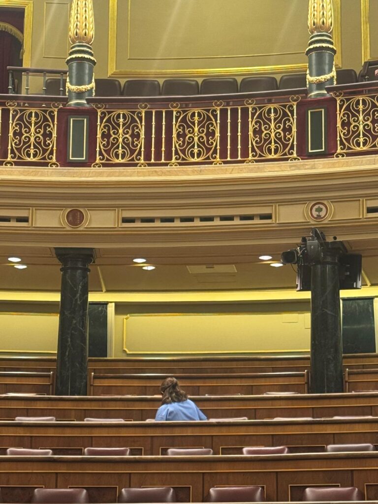 Rodila Plus en el Congreso de los diputados, donde la limpieza también es importante
